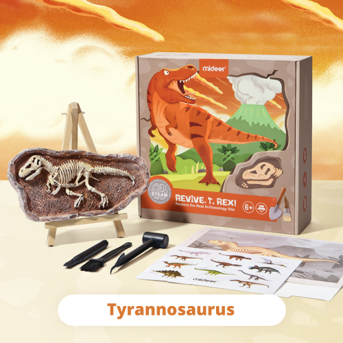 Vykopávání dinosaurů - Tyranosaurus